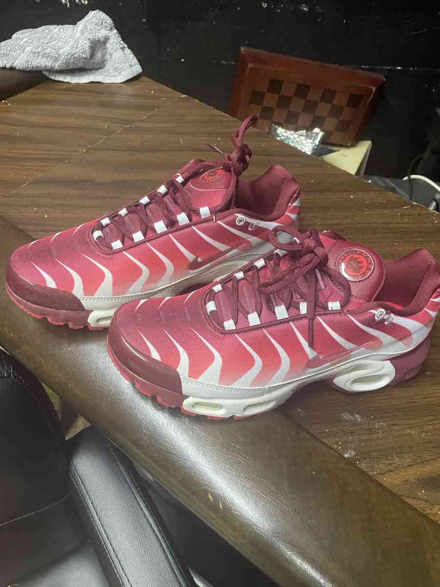 Nike Air max tn - New Bedford, Massachusetts - FleaMarketBay
