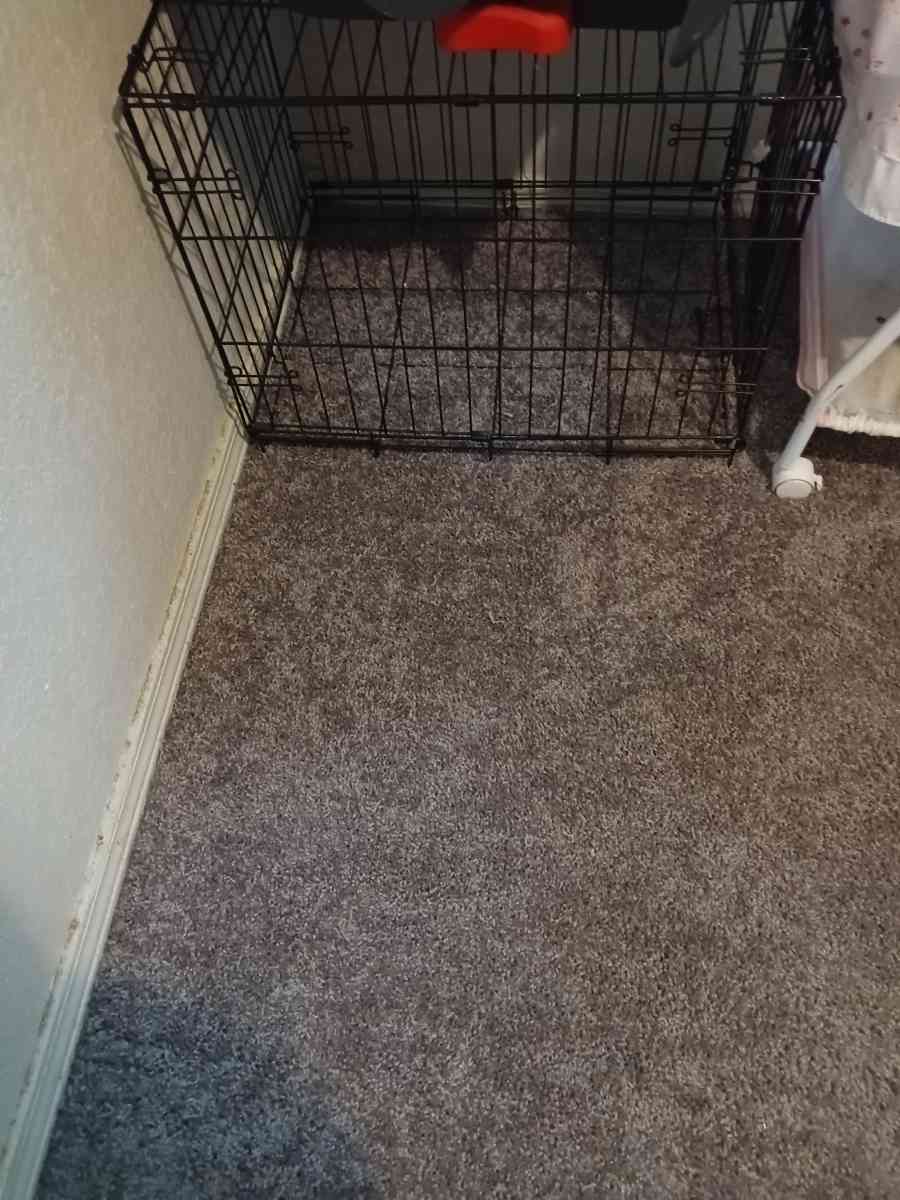 dog cage - Shawnee, Oklahoma