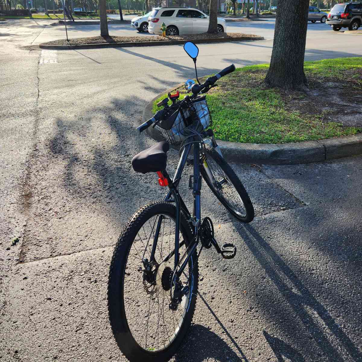 mi bike is everything is new the wheels is good - Wesley Chapel, Florida