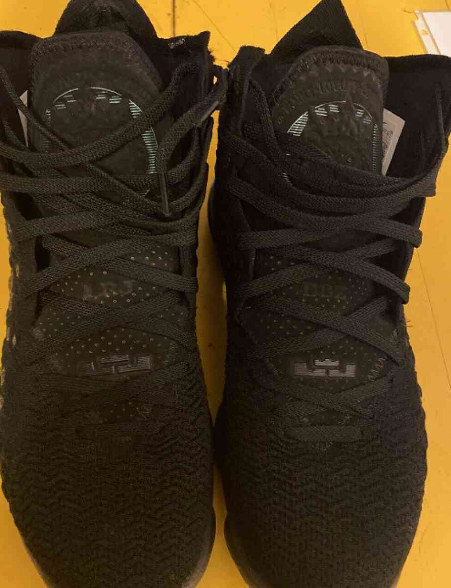 lebron 17 - Edinburg, Texas - FleaMarketBay