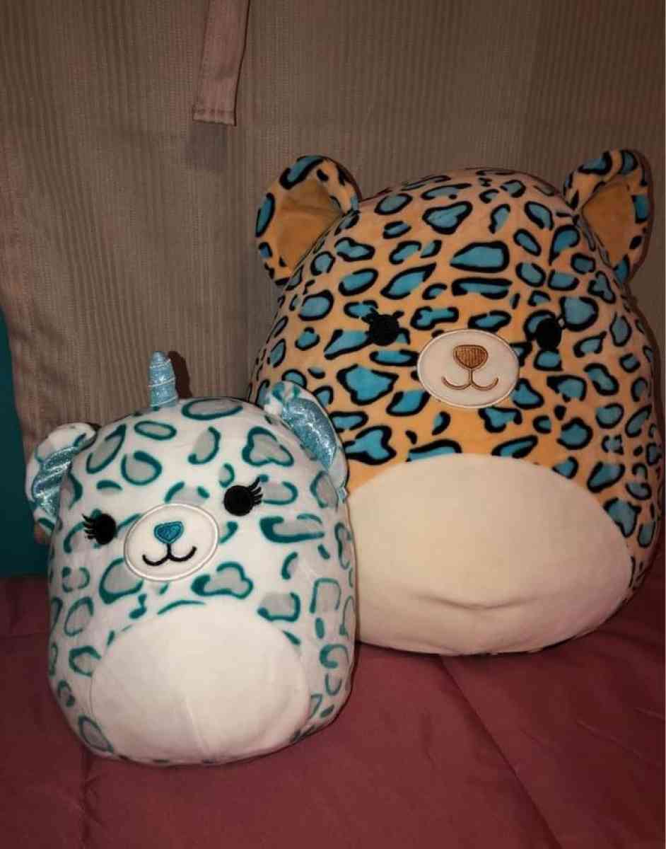 squishmallow cat bundle