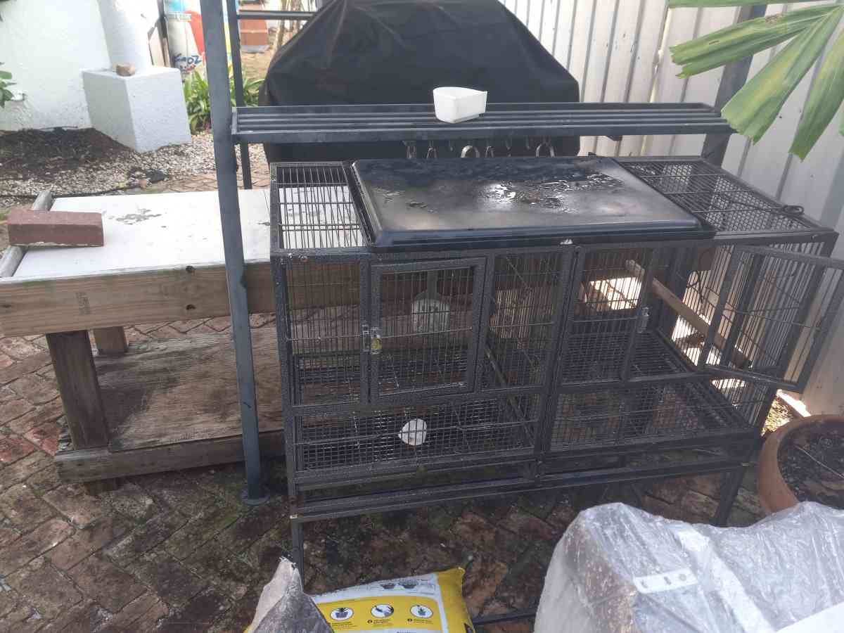 miami  300 - Alachua, Florida