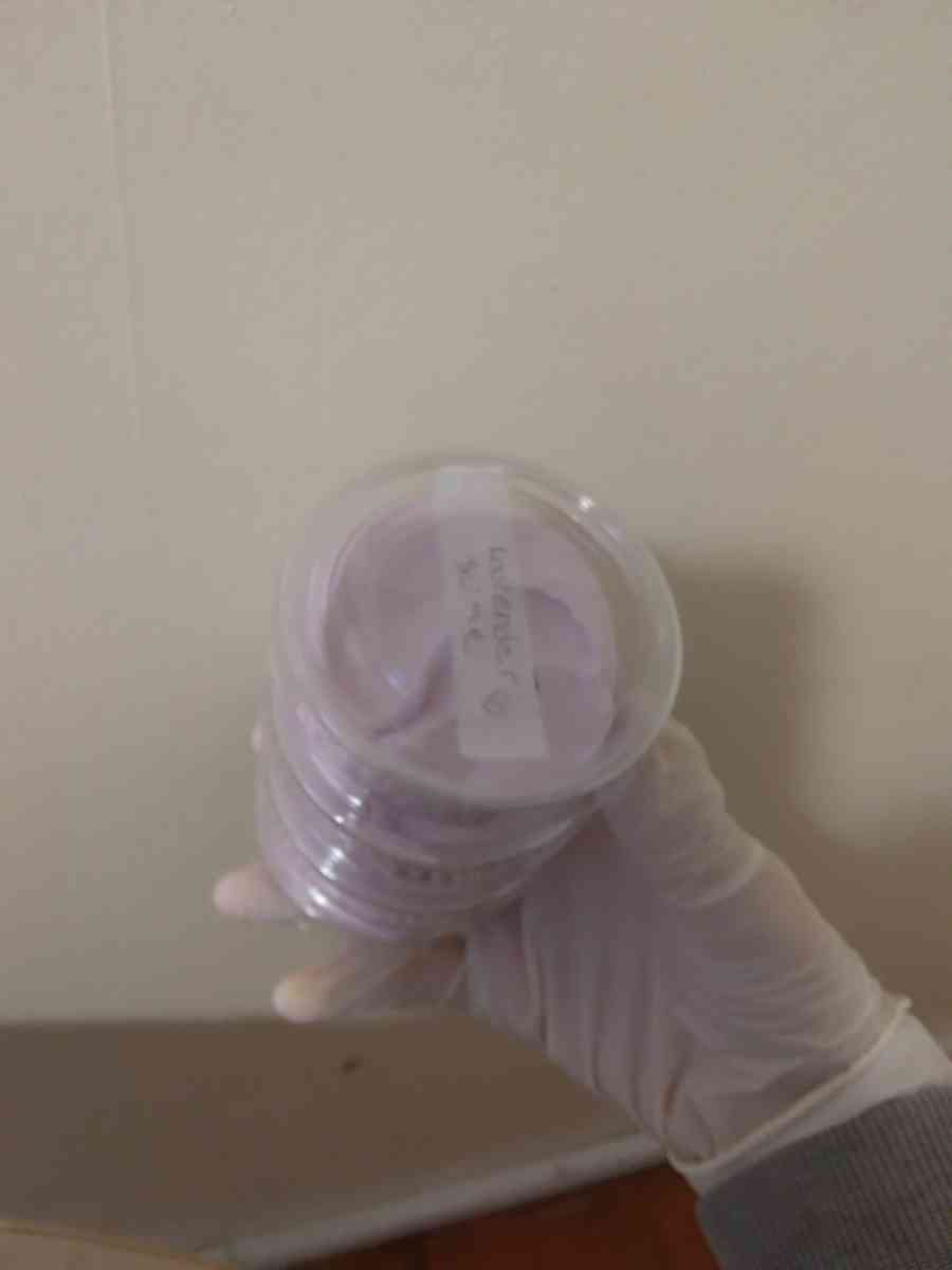 slime - Alicia, Arkansas - FleaMarketBay