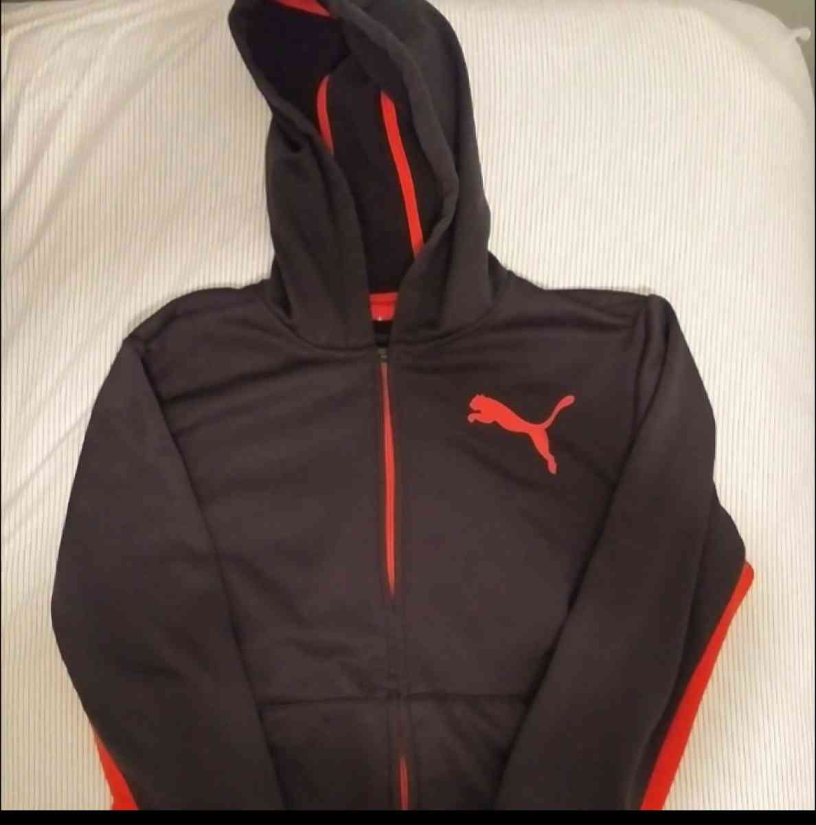 Puma Hoodie - Milan, Michigan