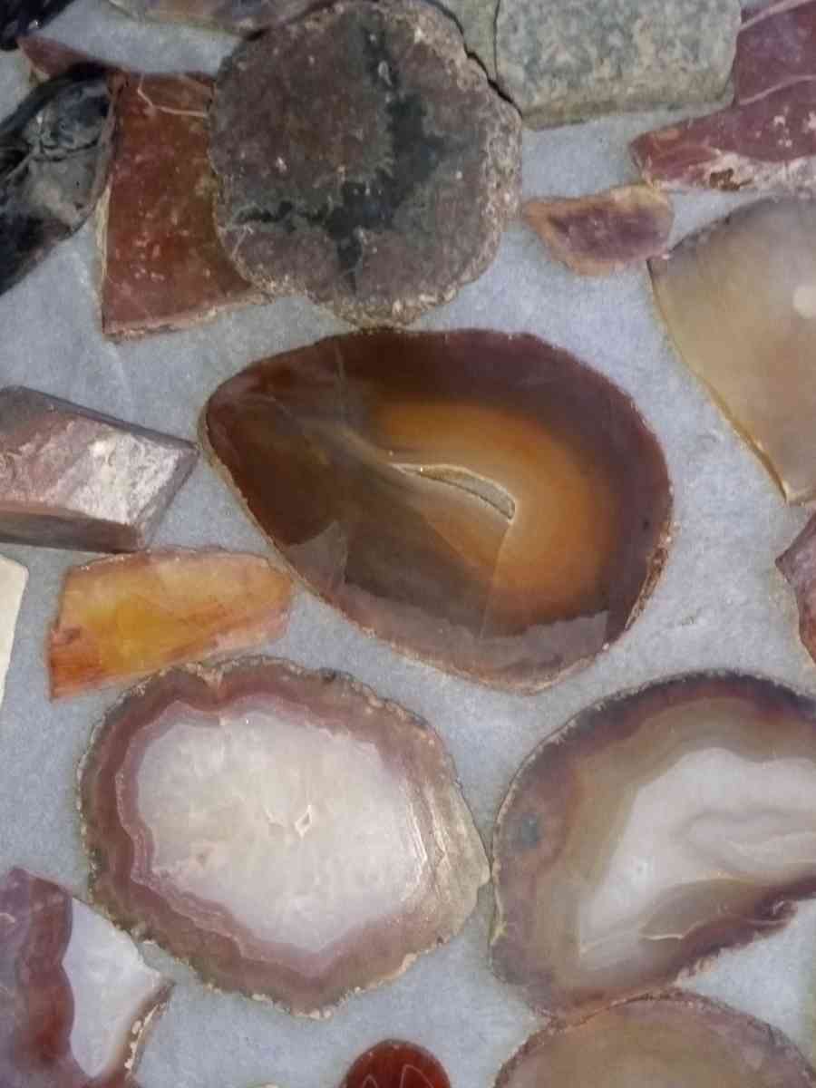 agatized petrified wood slabs - Arcata, California - FleaMarketBay