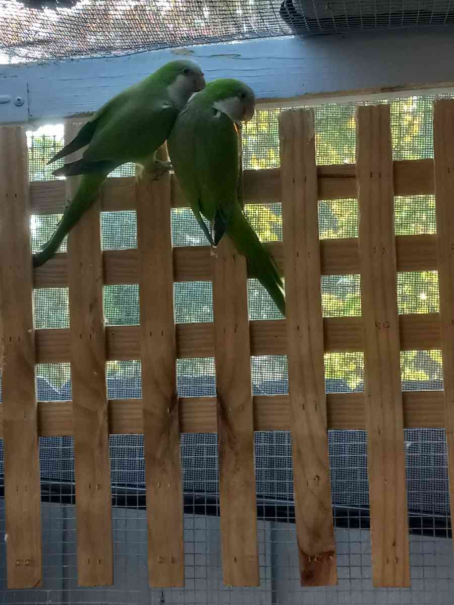 pareja - Hialeah, Florida