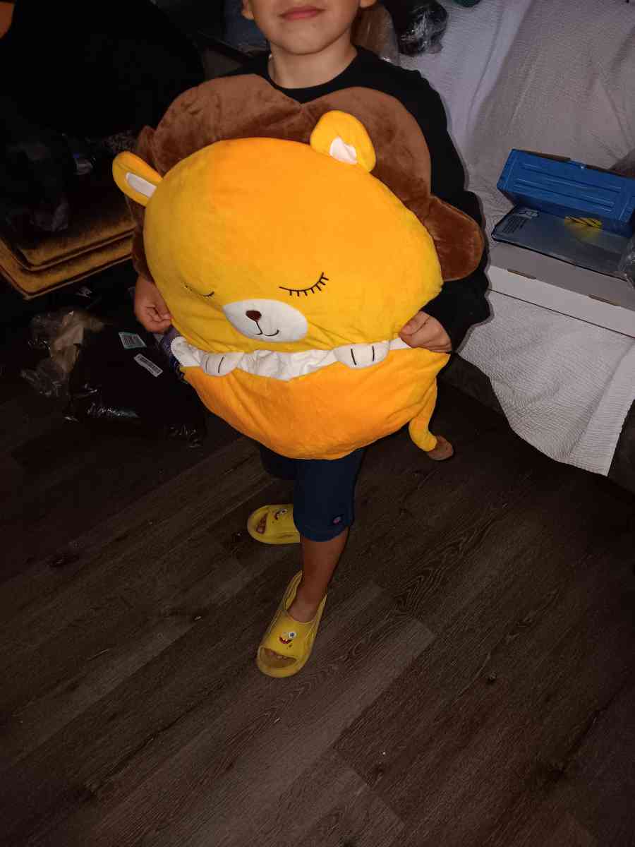 kids sleeping back - El Monte, California - FleaMarketBay