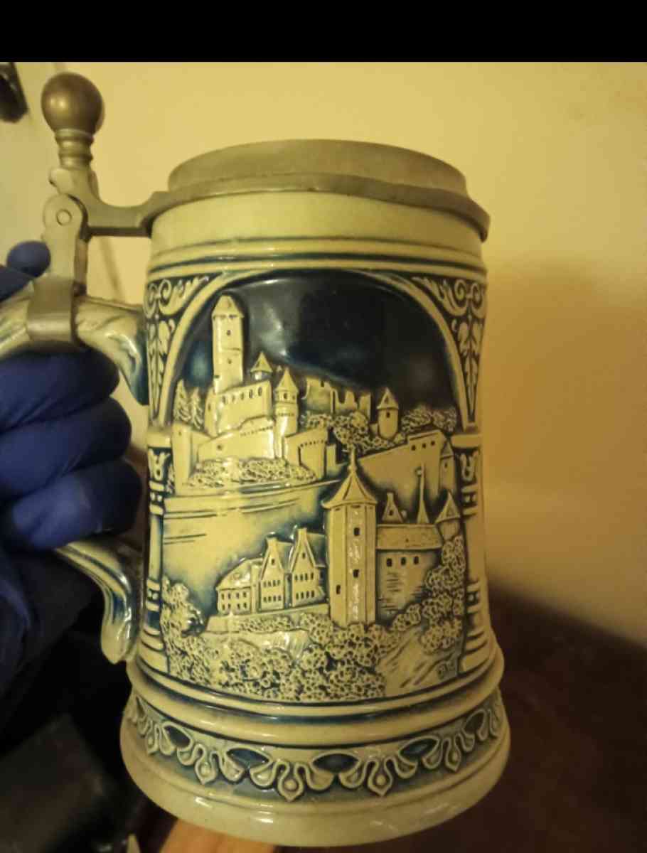 beer steins - Tampa, Florida