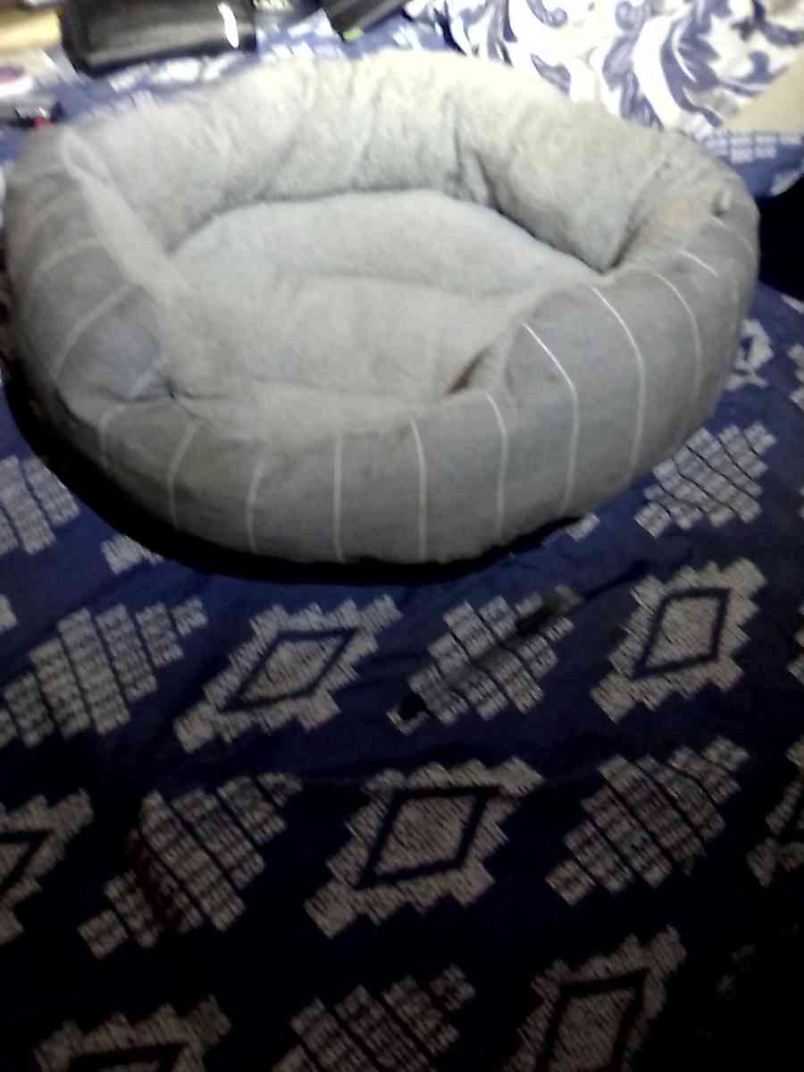 Plush dog bed - Banning, California