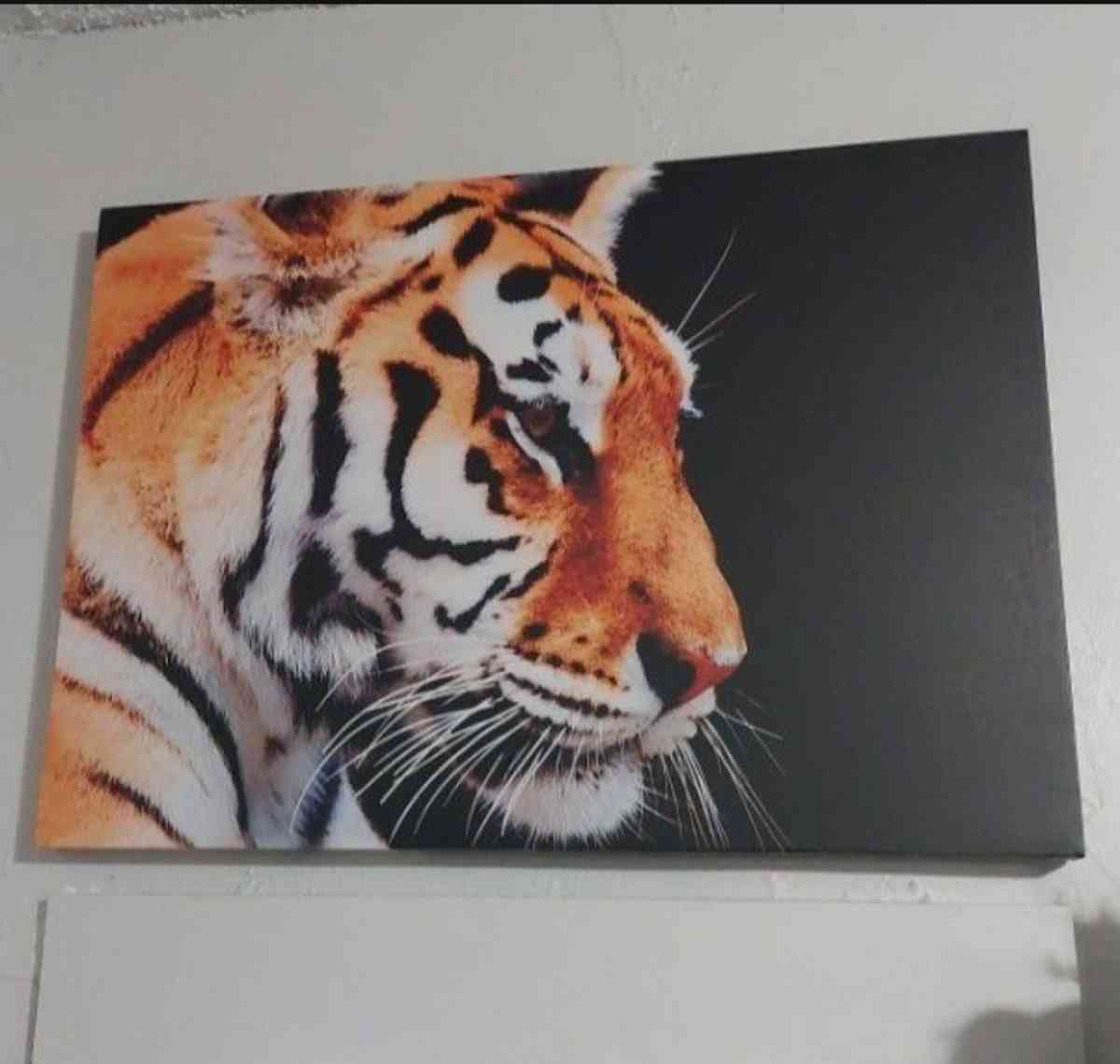 Brand new poster - Miami, Florida