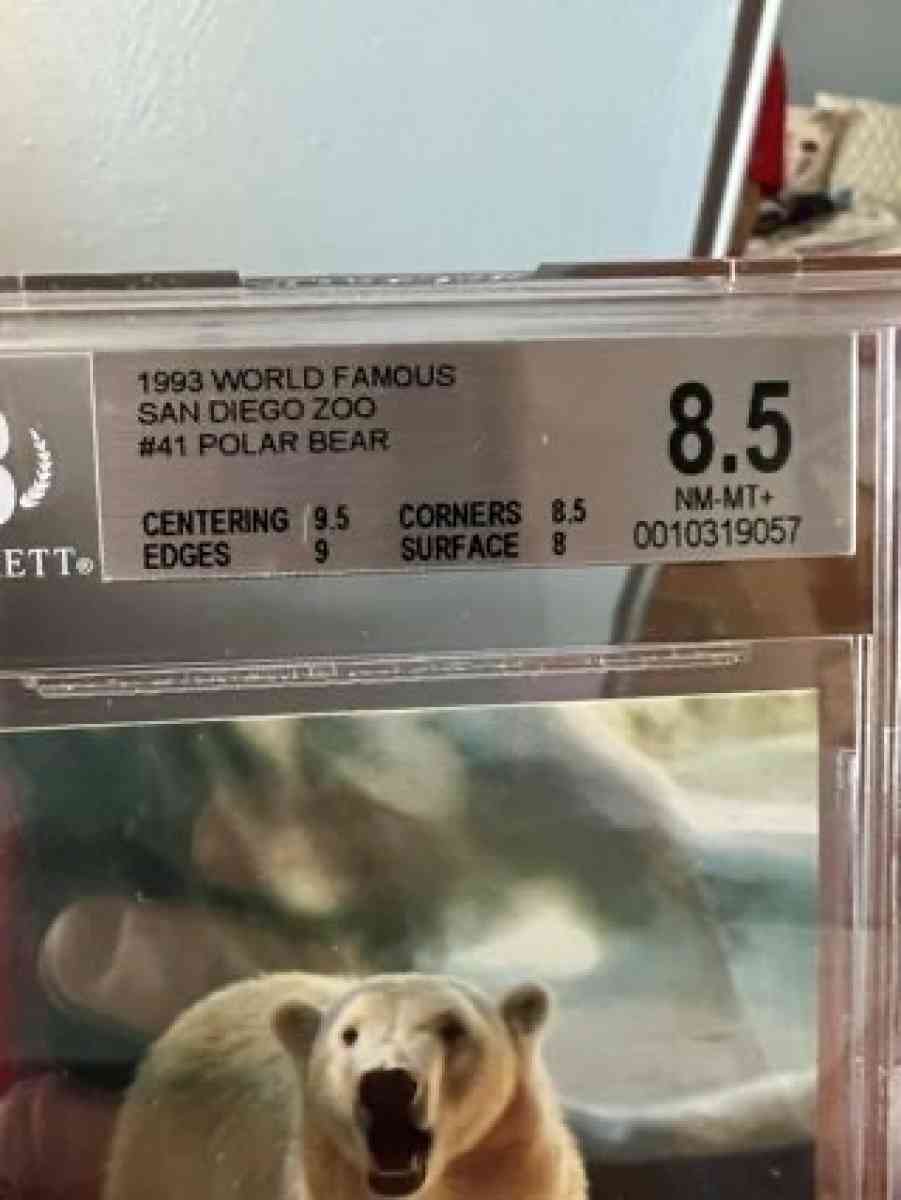1993 World Famous San Diego Zoo 41 Polar Bear Graded 85 - Gibson City, Illinois - FleaMarketBay