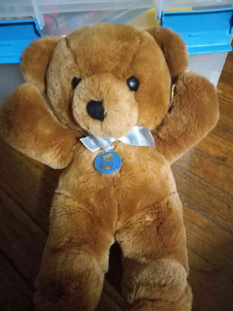 1986 Dakin bear - Bangor, Maine