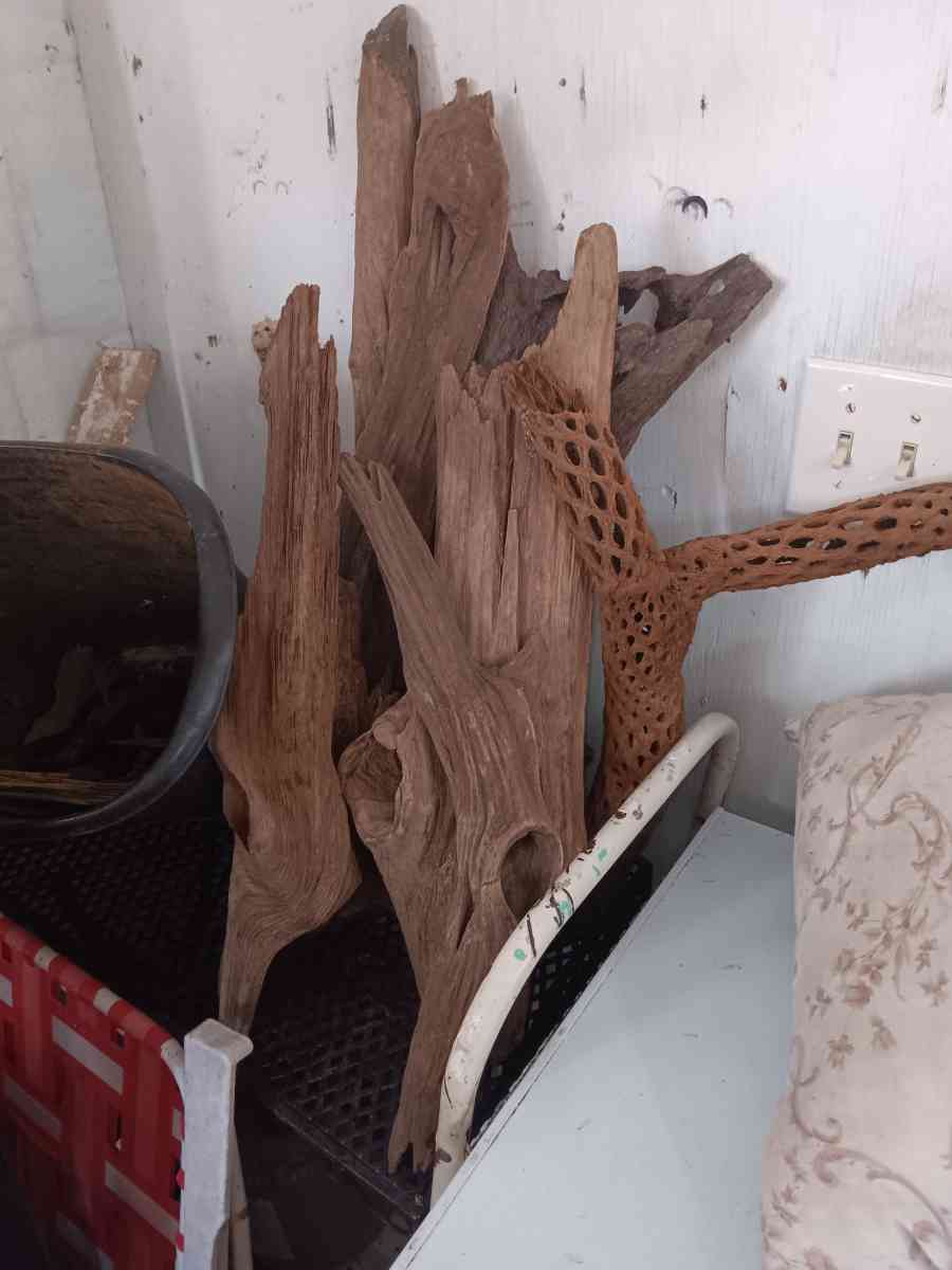 driftwood - Gulfport, Mississippi - FleaMarketBay