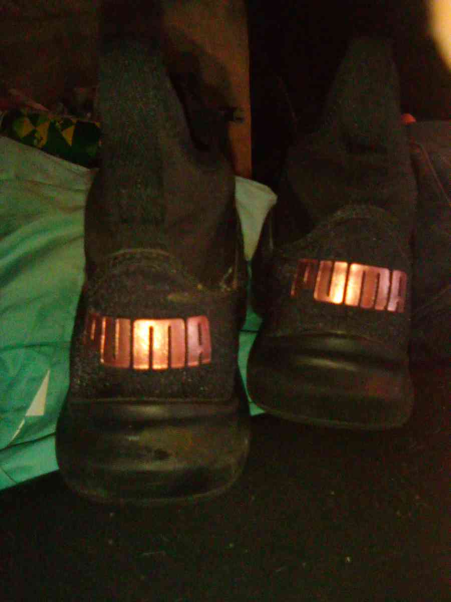 Pumas - Indianapolis, Indiana - FleaMarketBay