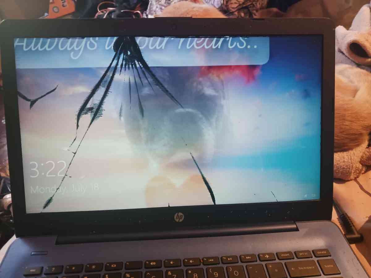 hp laptop - Addison, Maine