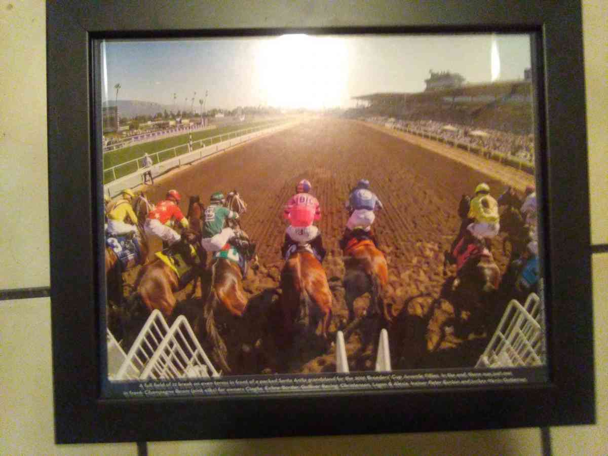 set of 6 2016 Santa Anita horse race photos - Las Vegas, Nevada - FleaMarketBay