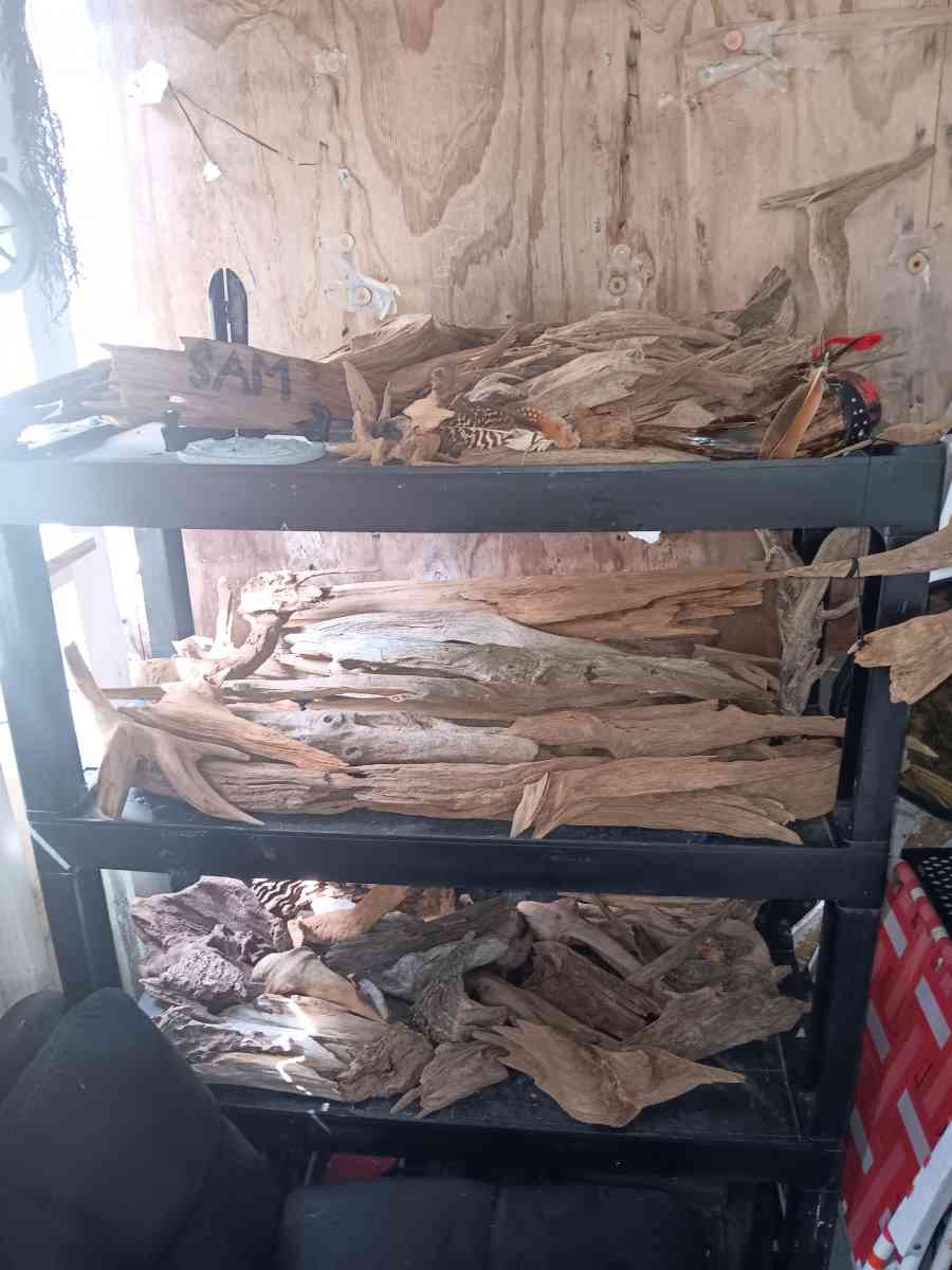 driftwood - Gulfport, Mississippi - FleaMarketBay
