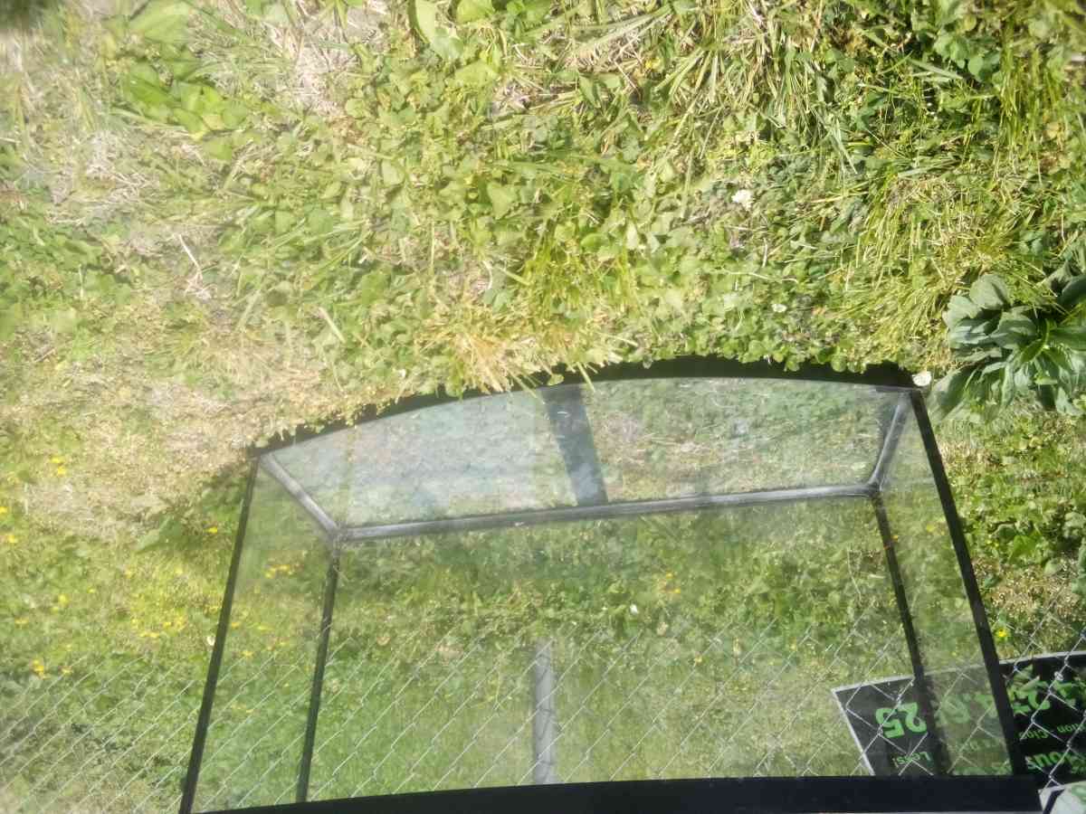 aquarium - Saint Louis, Missouri - FleaMarketBay