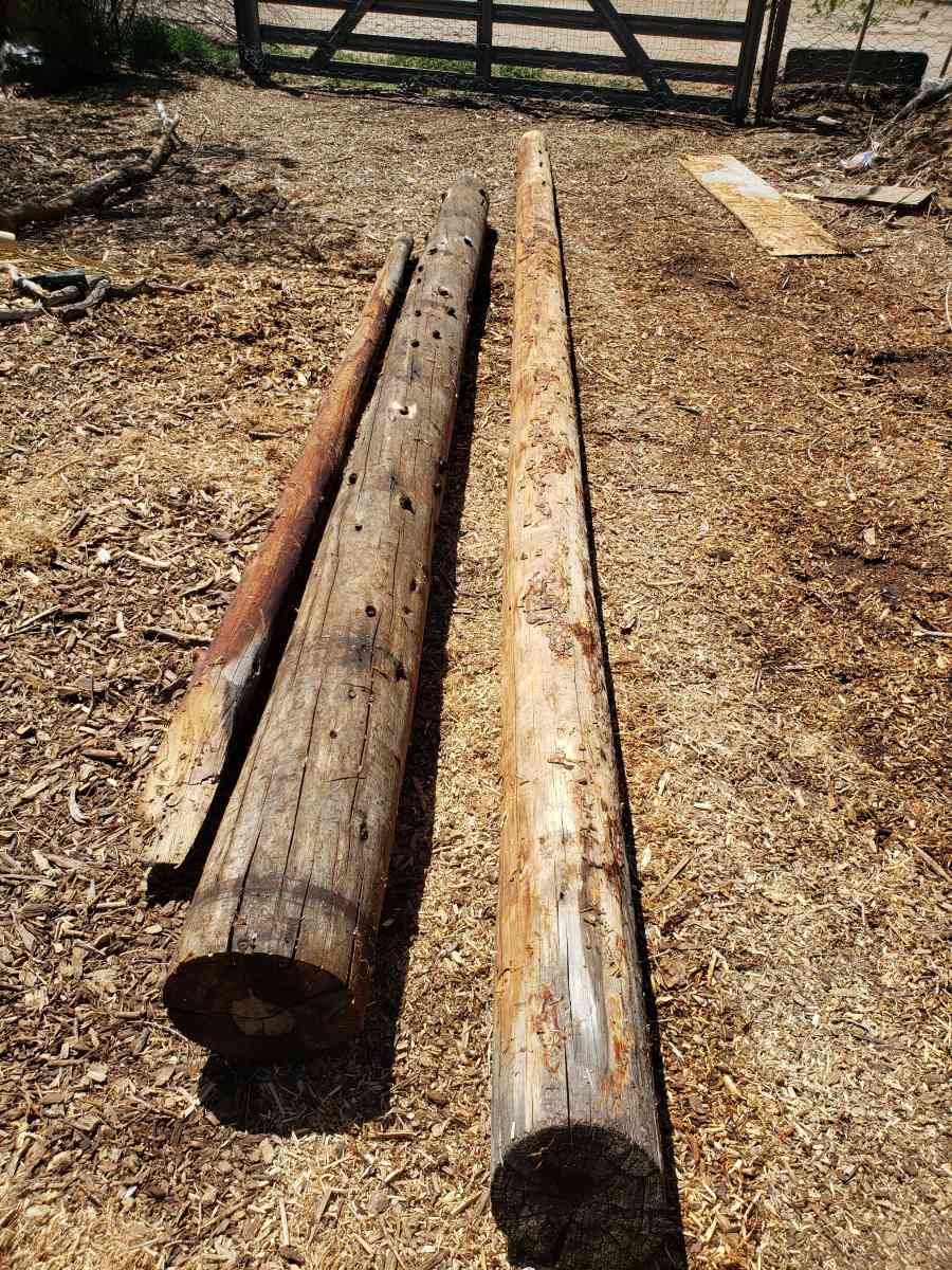 Antique wood logs - Sun Valley, Nevada
