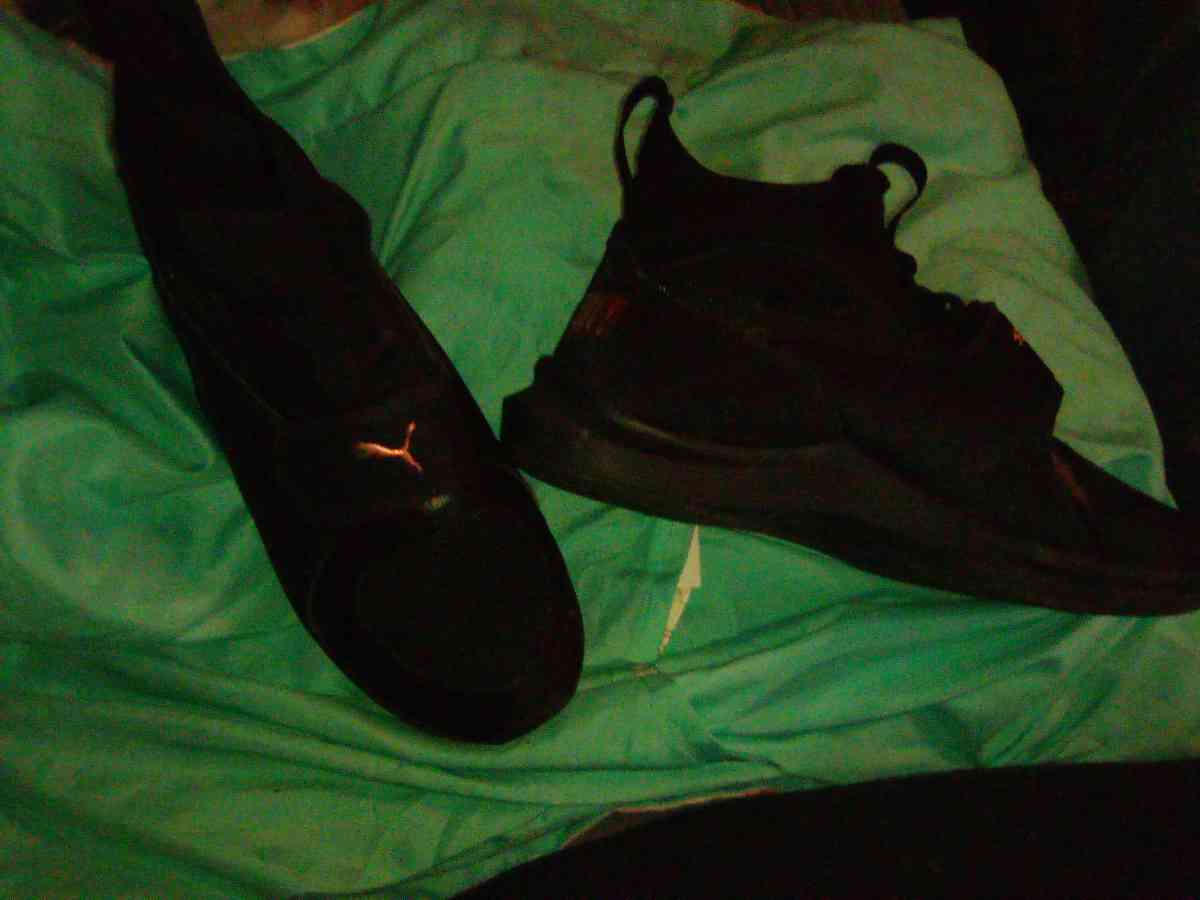 Pumas - Indianapolis, Indiana