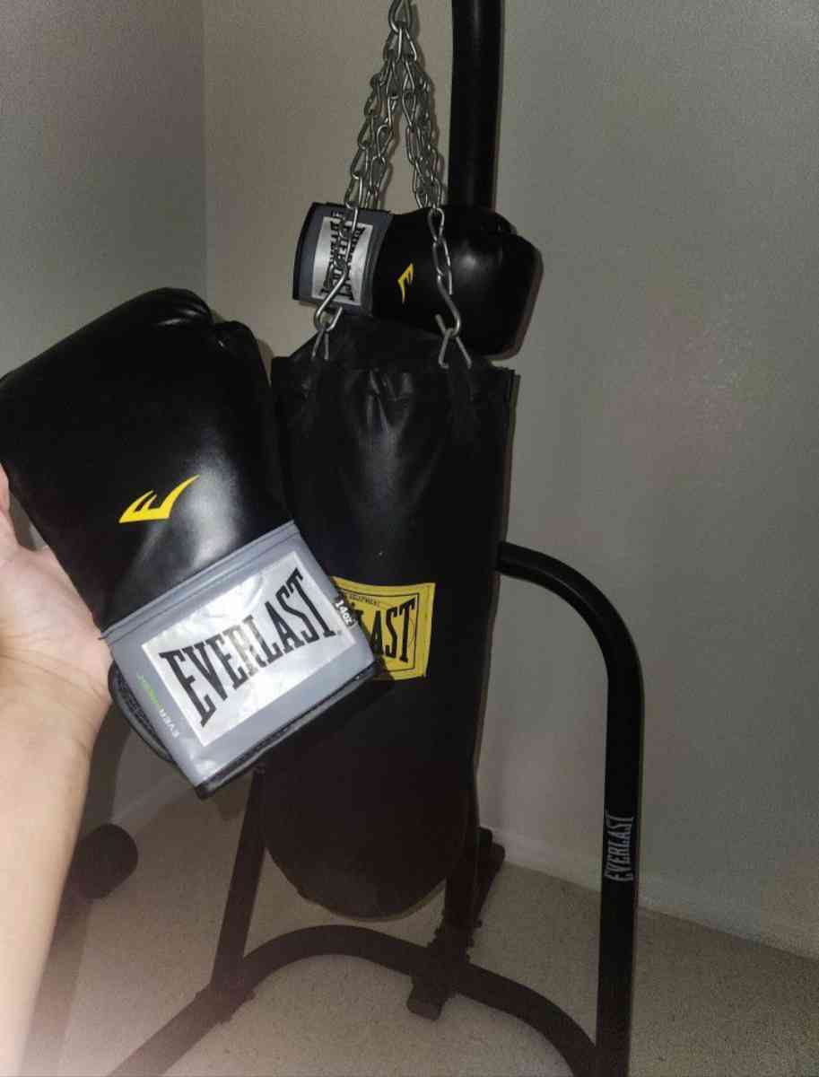 Everlast Punching Bag and Boxing Gloves - Avon Park, Florida