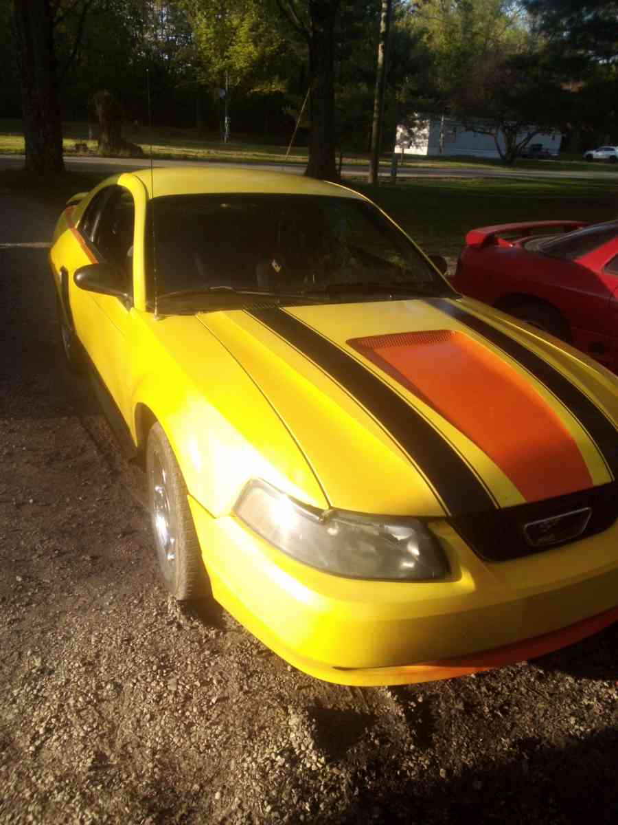 02 mustang - Brazil, Indiana - FleaMarketBay