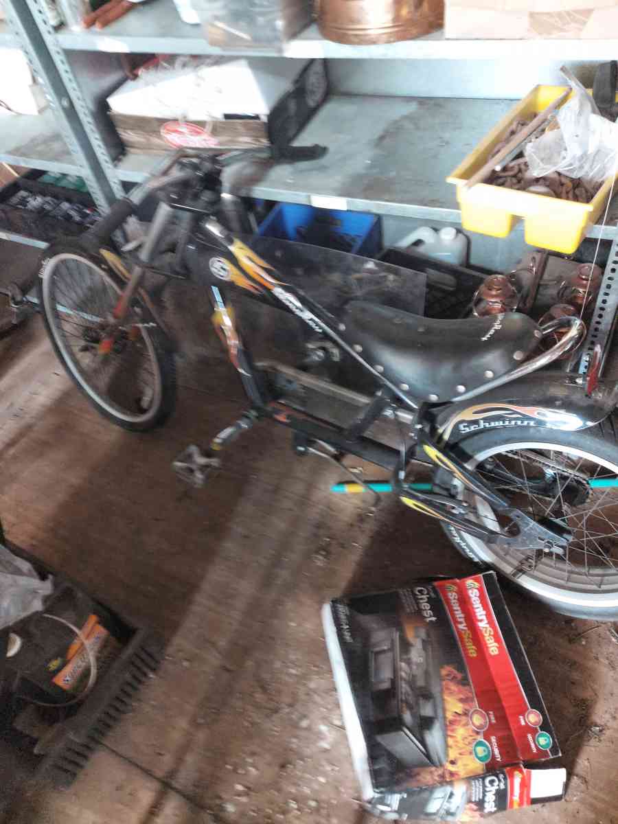 schwinn chopper - Frankfort, Indiana