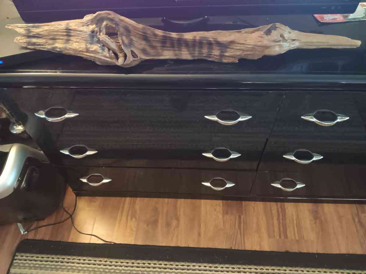 driftwood - Gulfport, Mississippi - FleaMarketBay