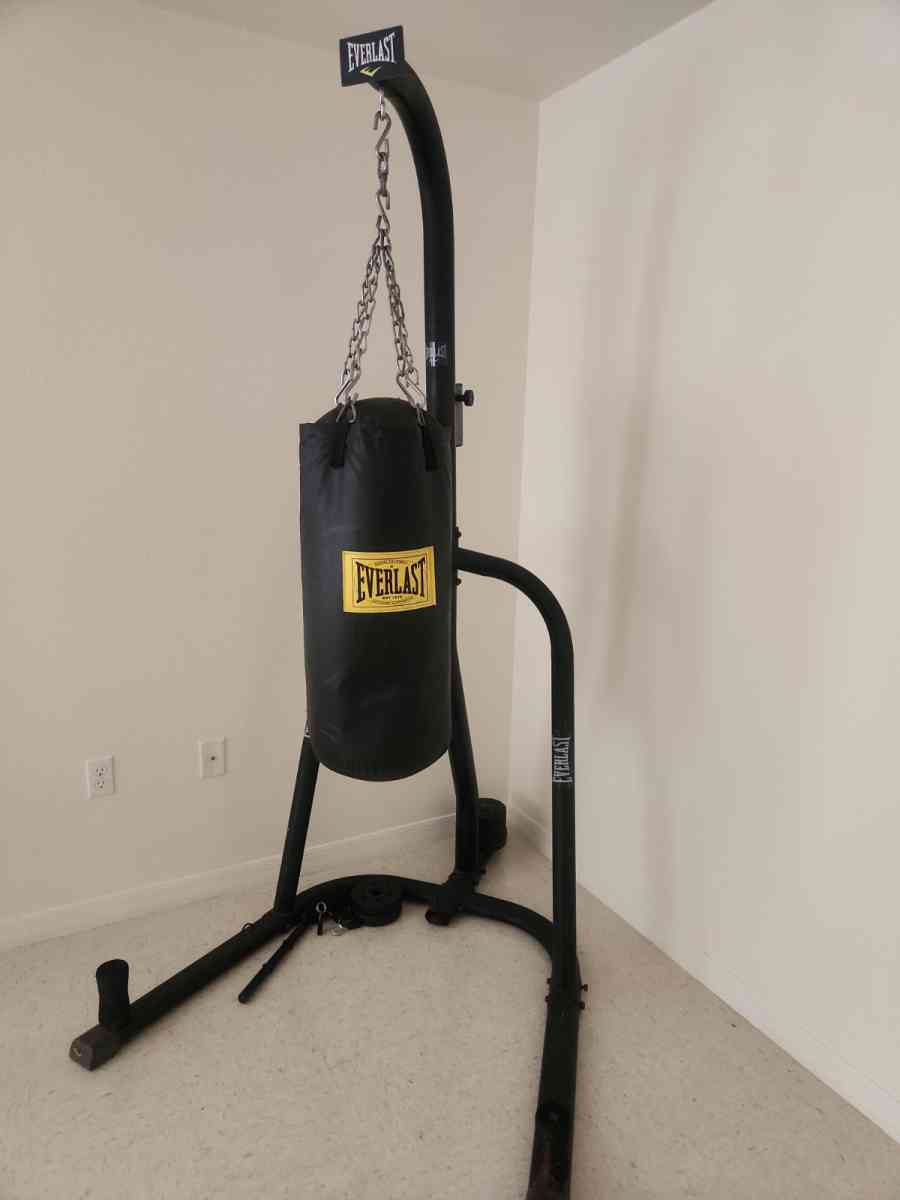 Everlast Punching Bag and Boxing Gloves - Avon Park, Florida - FleaMarketBay