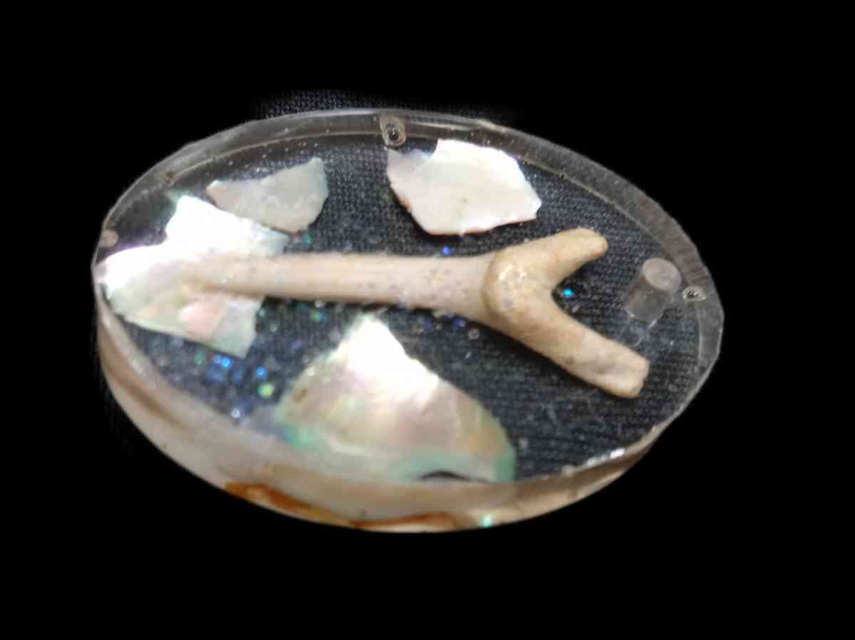 Chose One Key Chain or Pendant Fossilized SharksTooth - Las Vegas, Nevada - FleaMarketBay