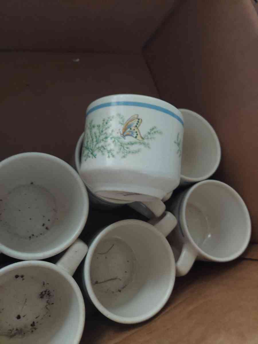 butterfly coffee cups - Frankfort, Indiana