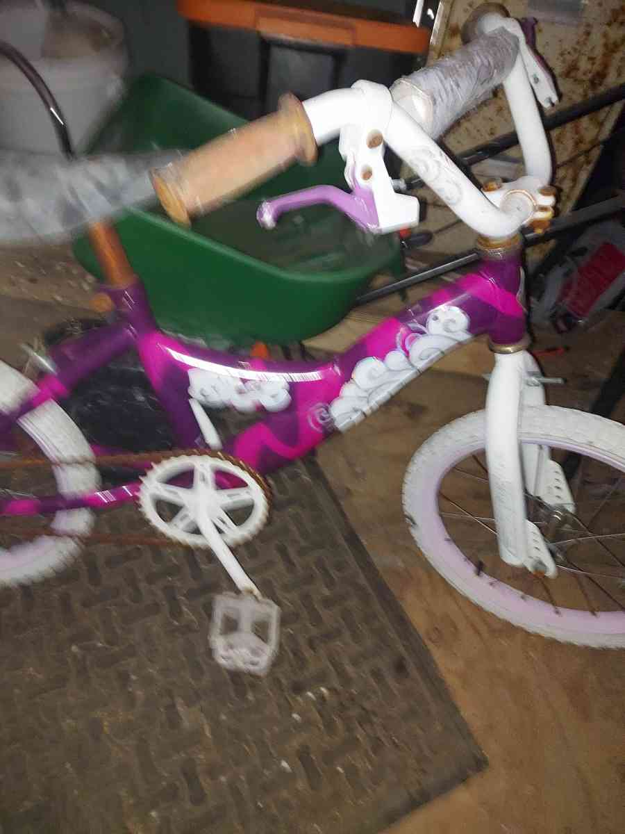 littlegirls bike - Frankfort, Indiana