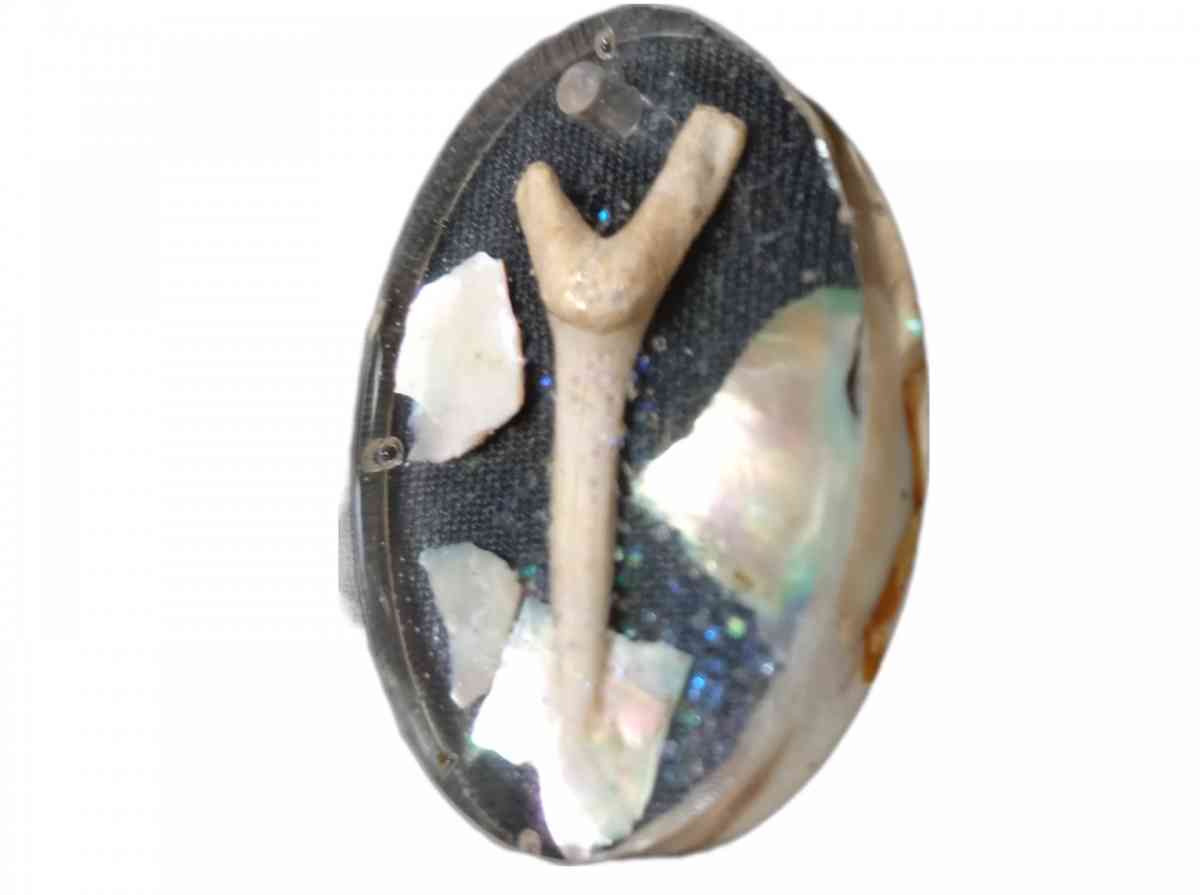 Chose One Key Chain or Pendant Fossilized SharksTooth - Las Vegas, Nevada