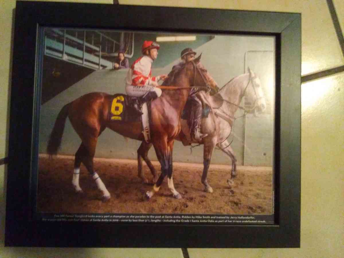 set of 6 2016 Santa Anita horse race photos - Las Vegas, Nevada