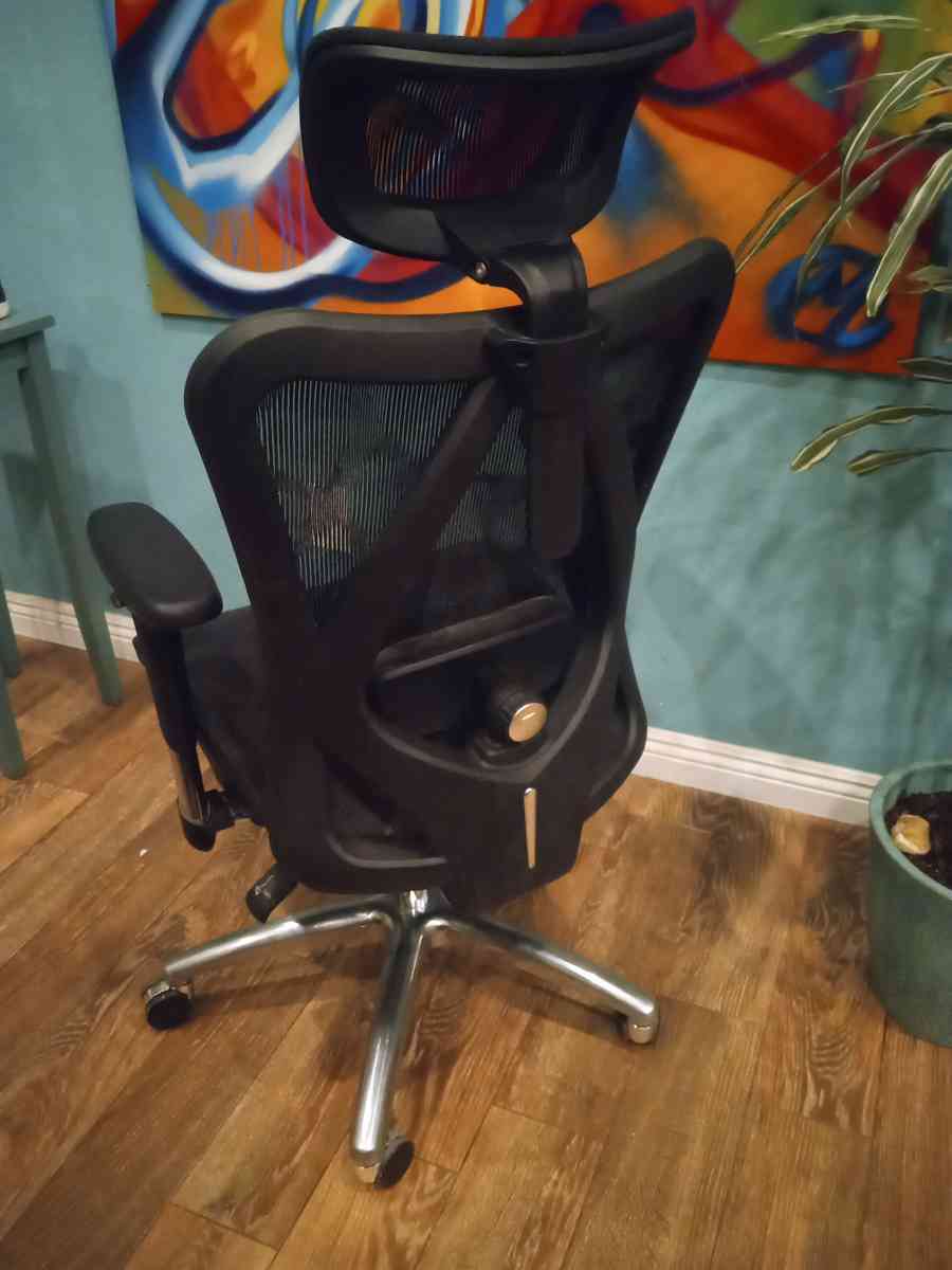 SIHOO Desk Chair Classic M18 Triple Spine Support - West Covina, California - FleaMarketBay