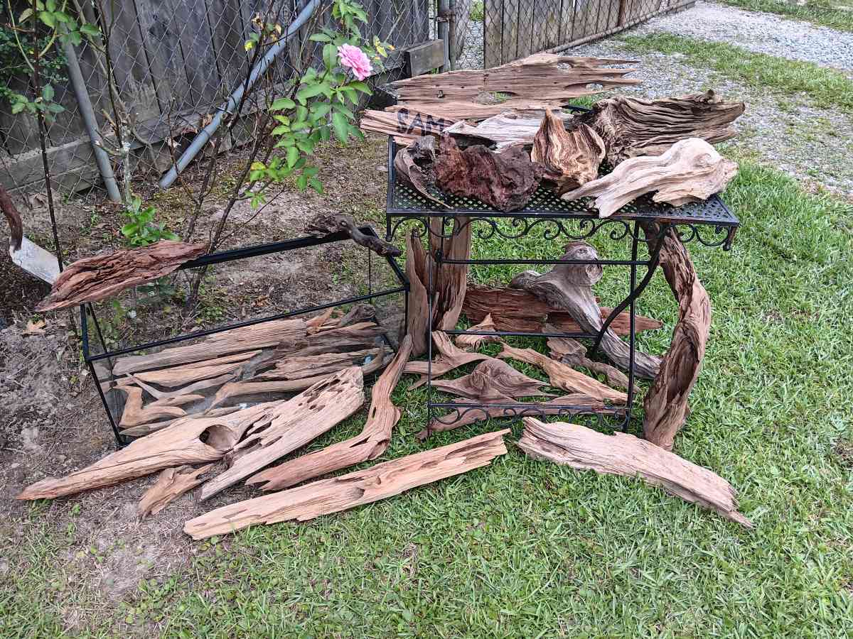 driftwood - Gulfport, Mississippi