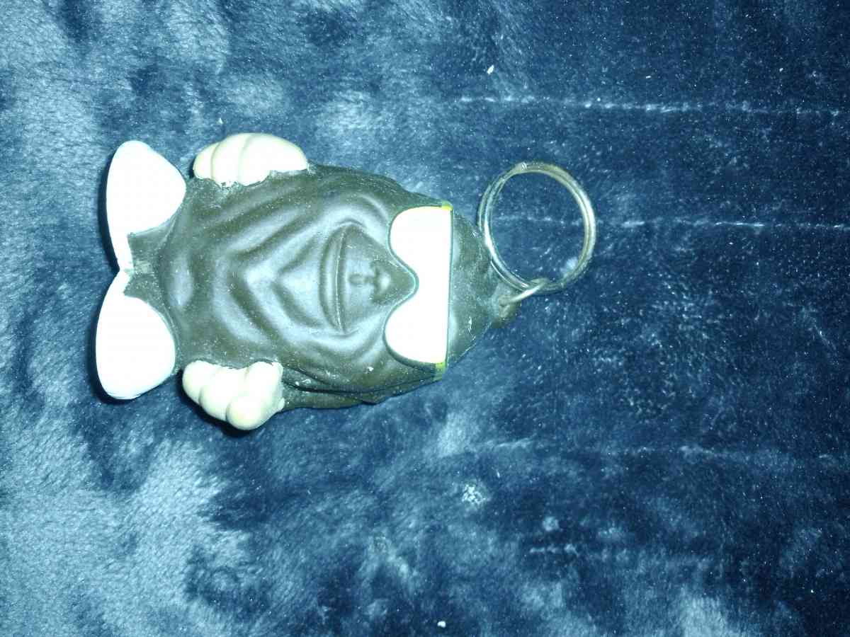 Vintage Rasin Keychain - Gaston, South Carolina - FleaMarketBay