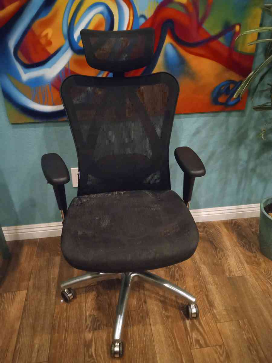 SIHOO Desk Chair Classic M18 Triple Spine Support - West Covina, California