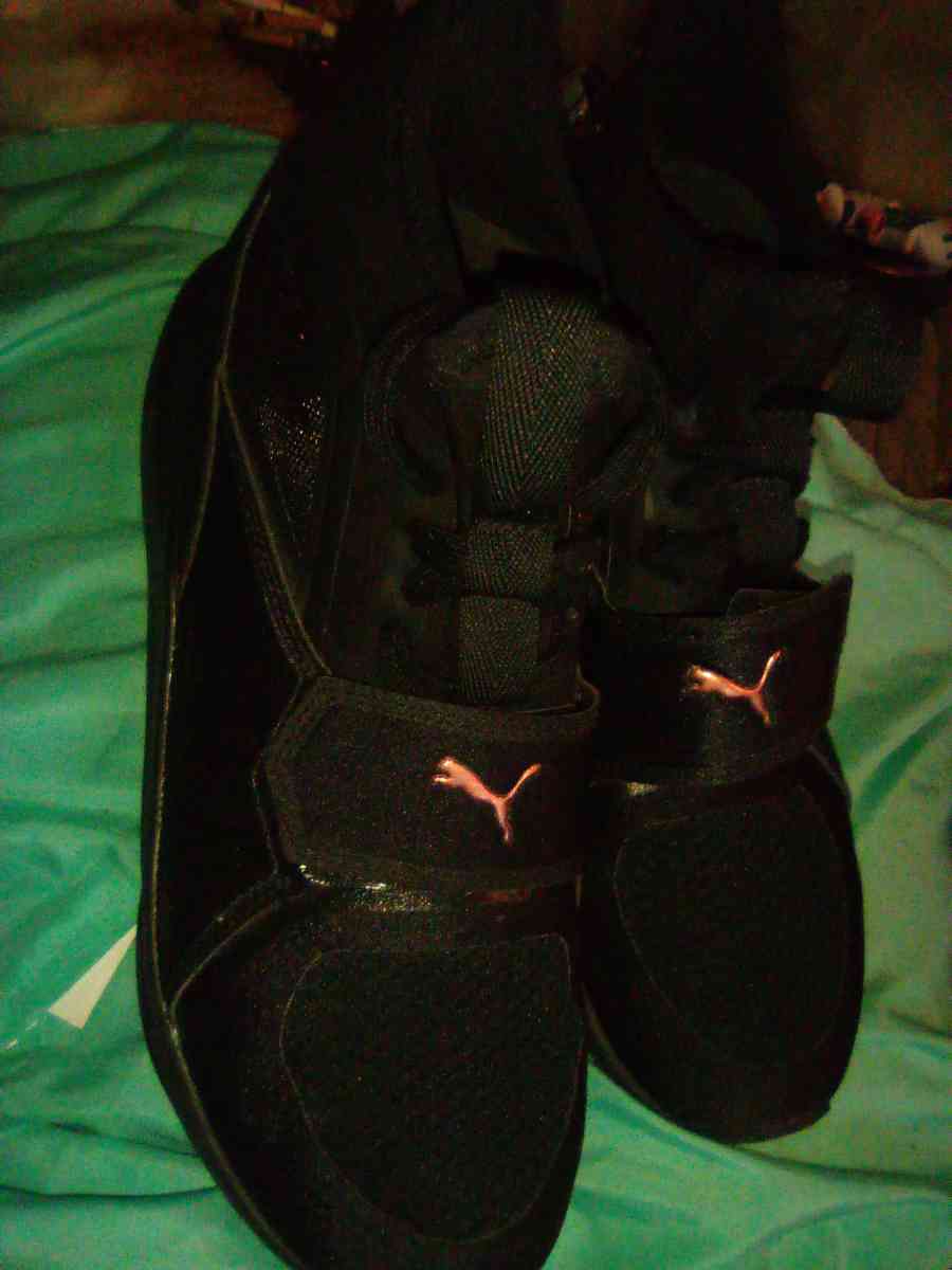 Pumas - Indianapolis, Indiana - FleaMarketBay