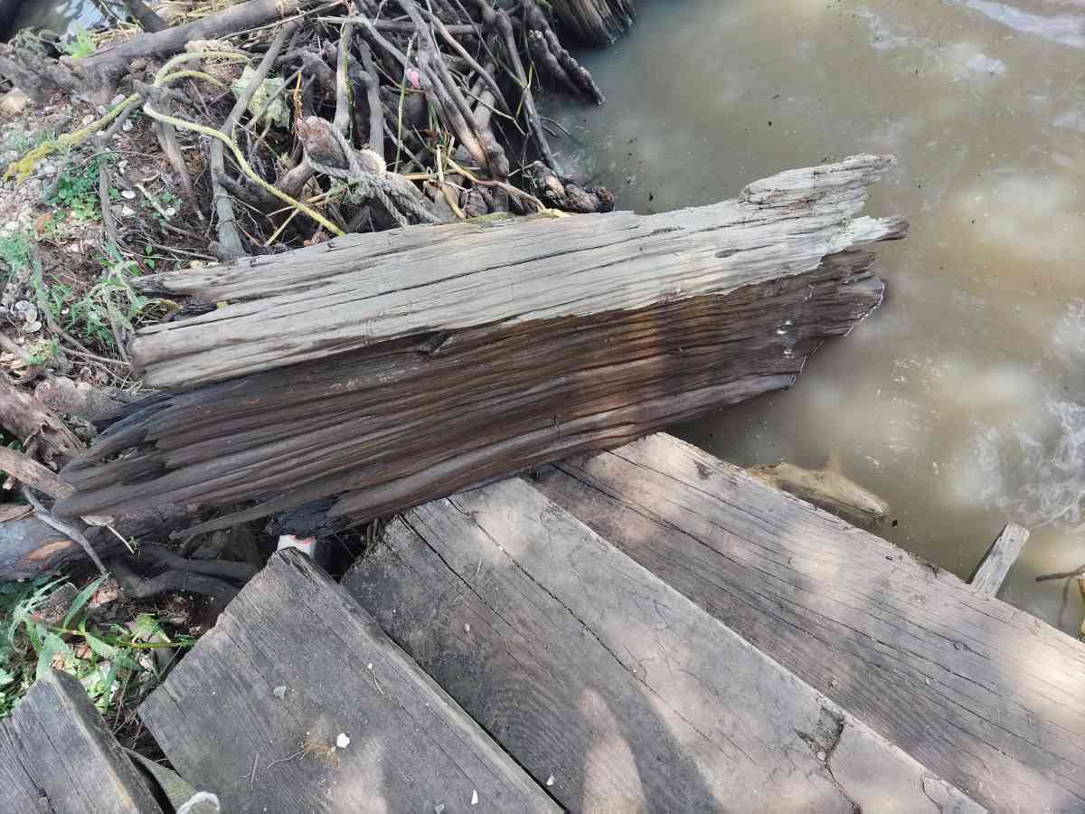 cypress driftwood - Gueydan, Louisiana - FleaMarketBay