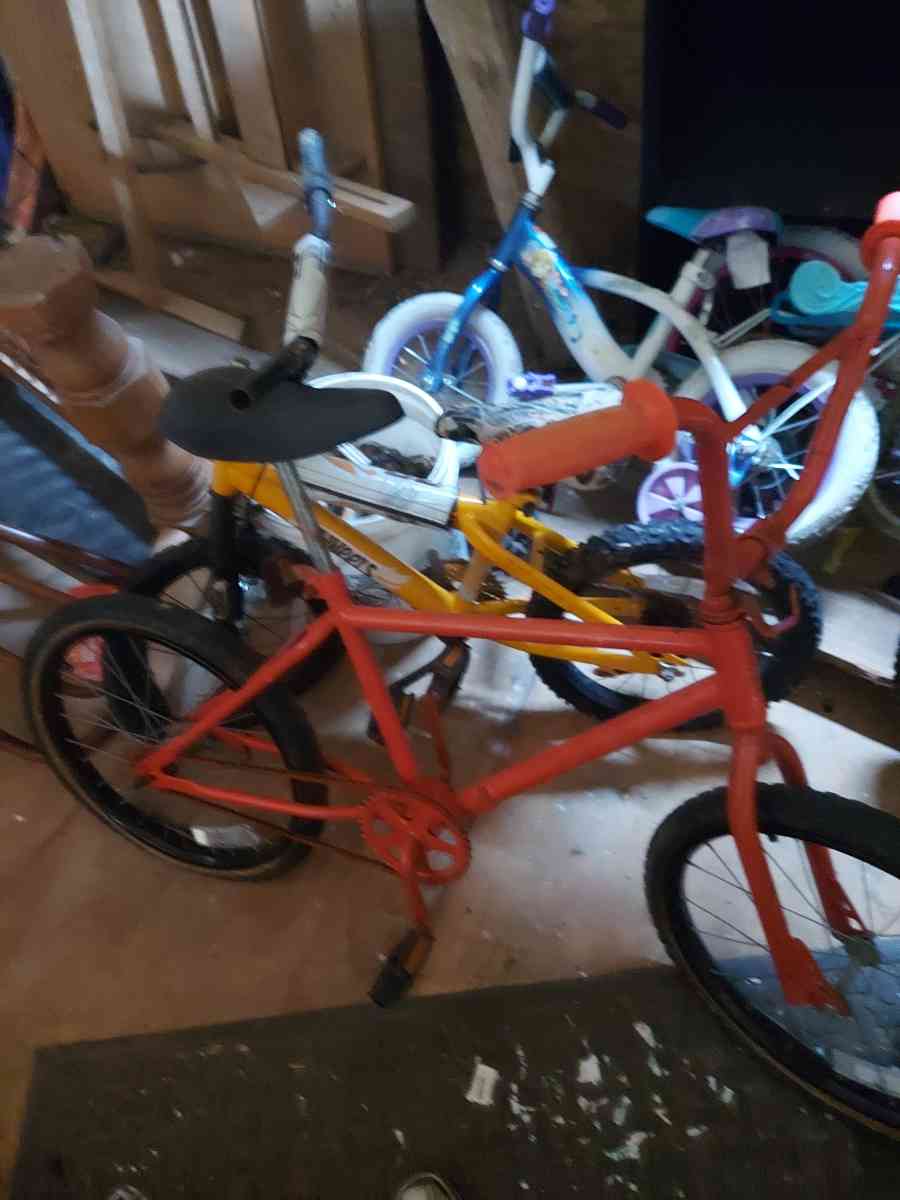 1981 team murray - Frankfort, Indiana