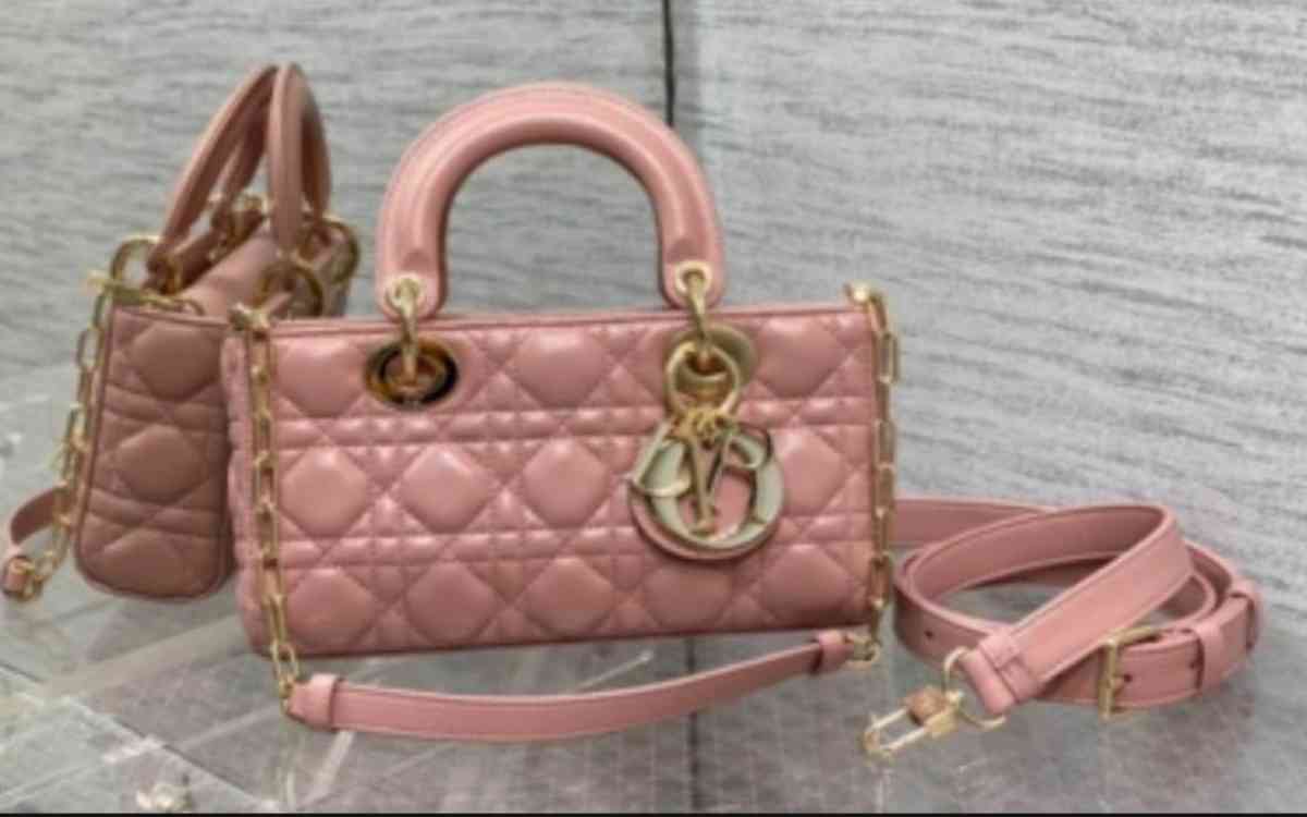 lady pink Dior bag - Mission Hills, California