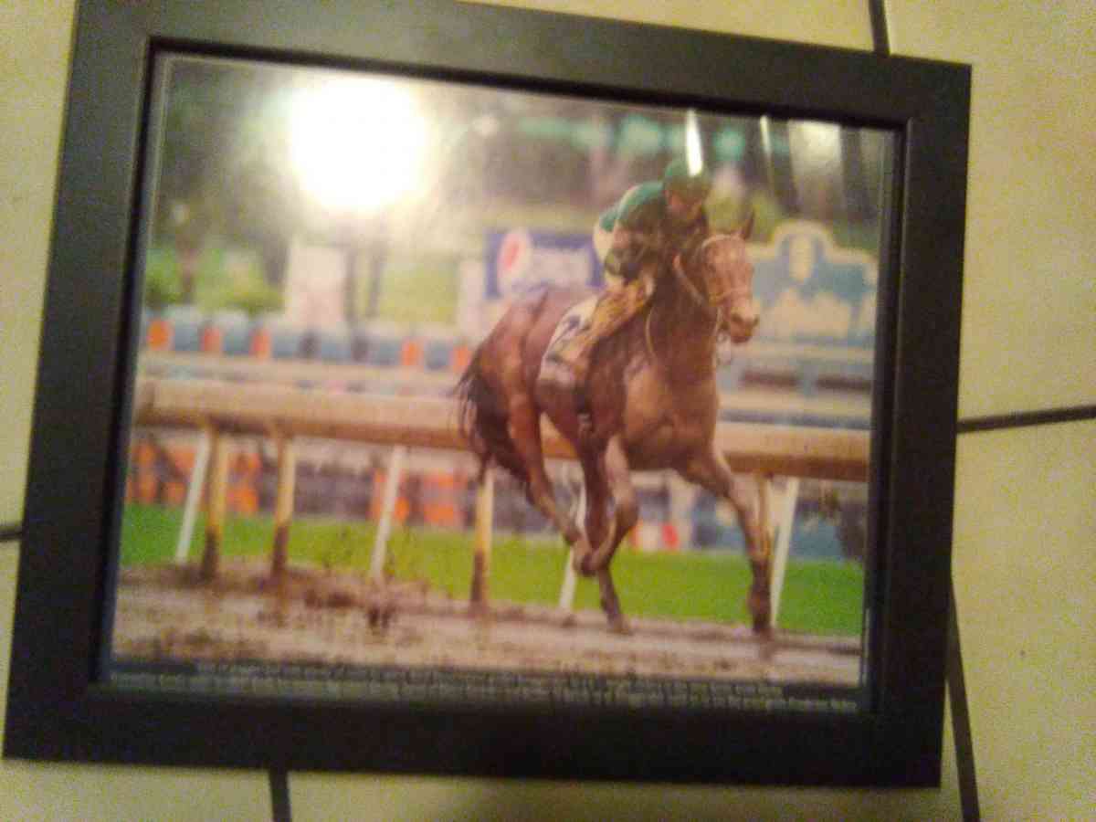 set of 6 2016 Santa Anita horse race photos - Las Vegas, Nevada - FleaMarketBay