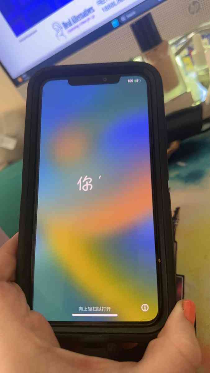 iPhone 11 Pro Max - Levittown, Pennsylvania - FleaMarketBay