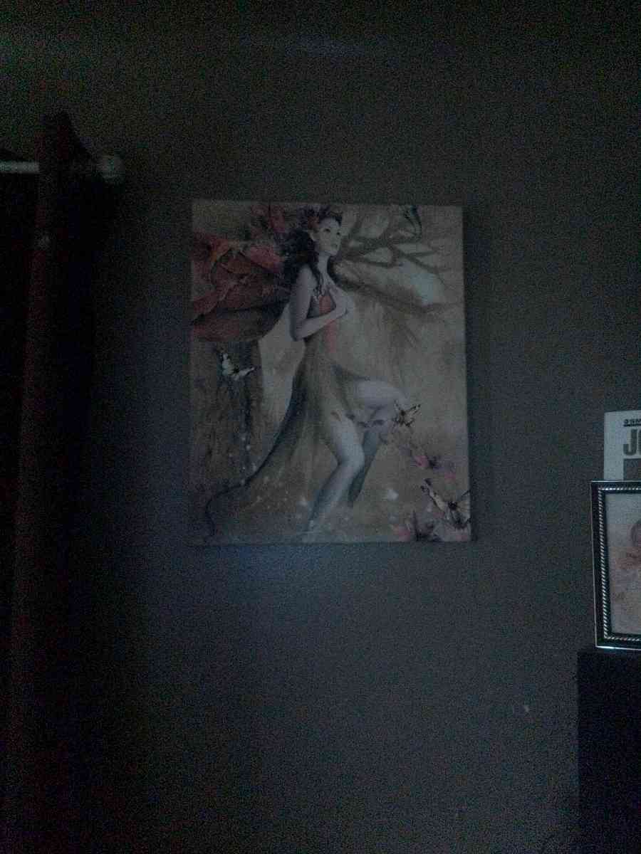 farys - Flint, Michigan - FleaMarketBay