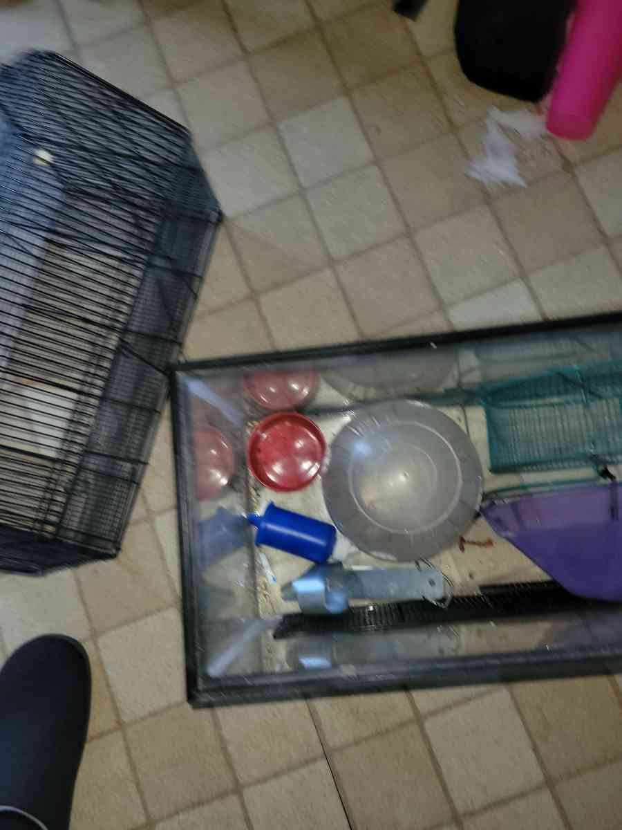 25 gallon tank and topper and other hamster items - Milwaukee, Wisconsin