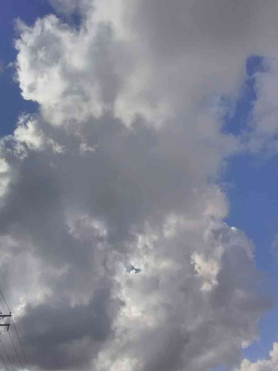 pictures for sell - Modesto, California - FleaMarketBay