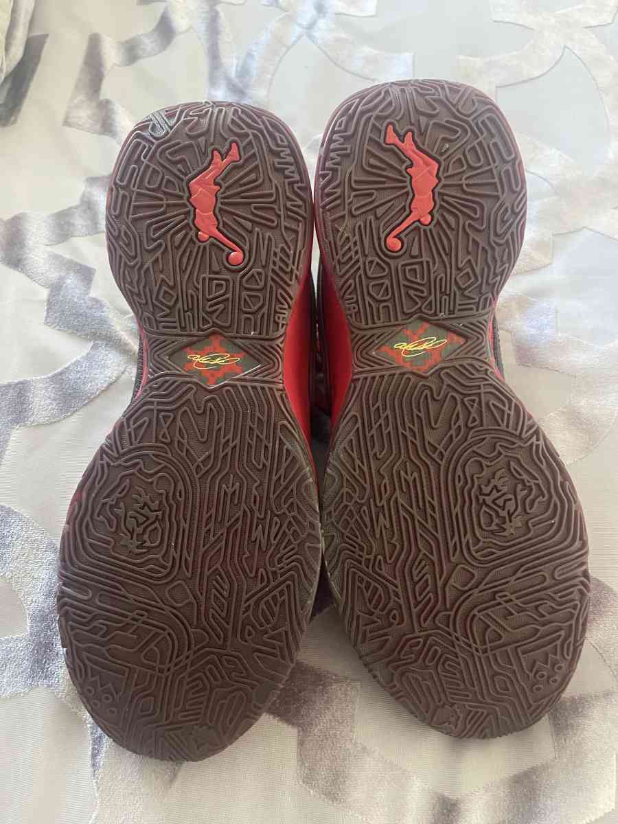 Nike Lebron XX - San Diego, California - FleaMarketBay