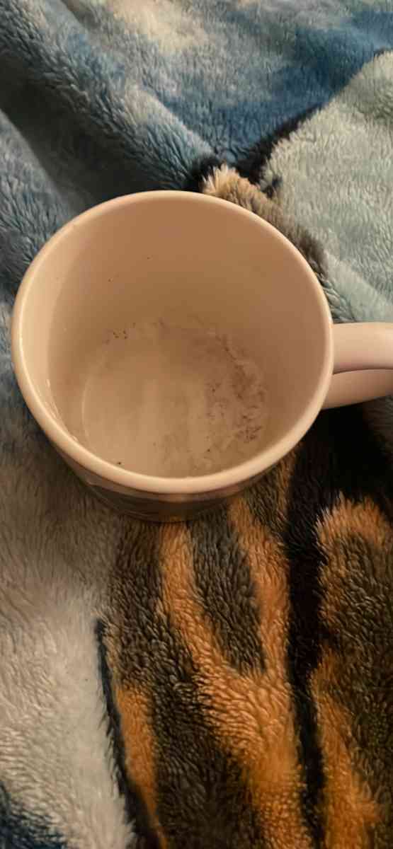 1992 Dallas Cowboys XXVII Super Bowl - Newbury Park, California