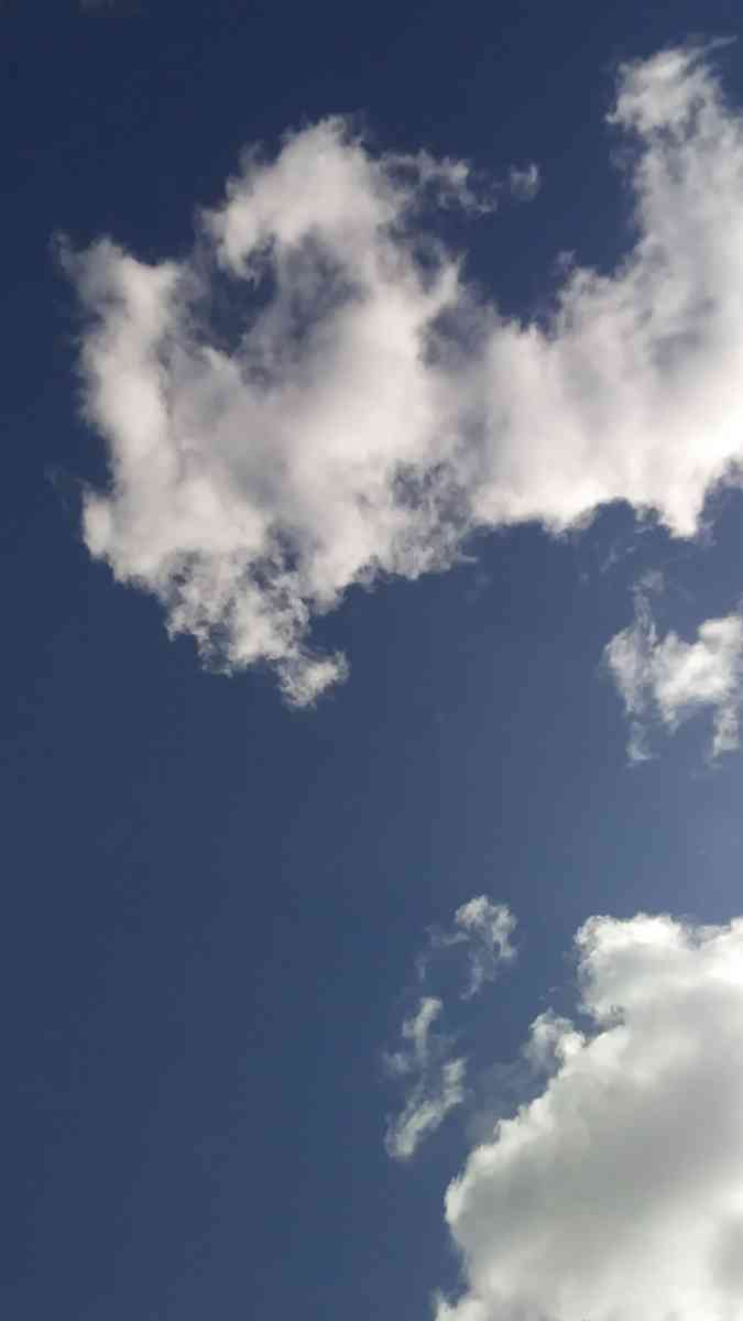 pictures for sell - Modesto, California